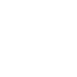 NumPy Logo Programiz