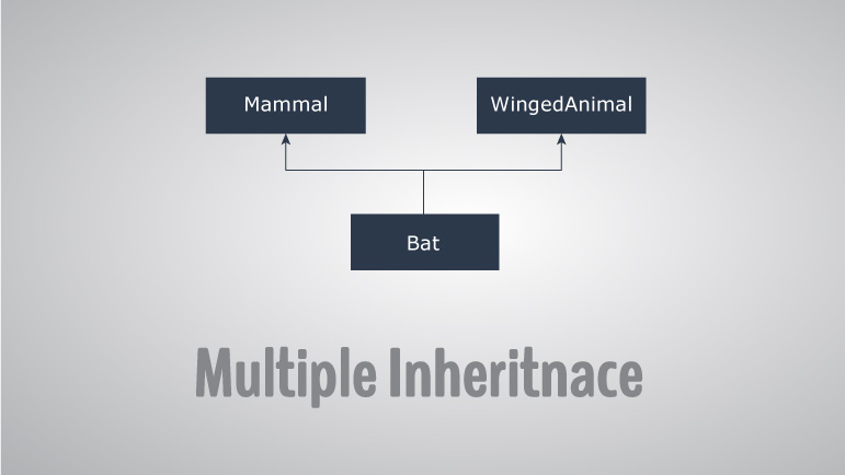 C++ Multiple, Multilevel And Hierarchical Inhertiance