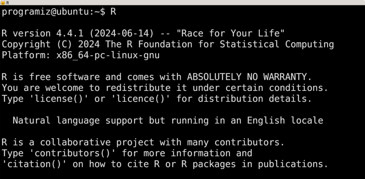 Verify R Installation on Ubuntu