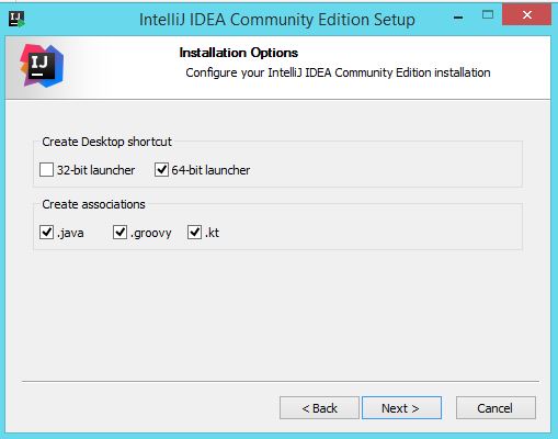 Intellij IDEA installation options