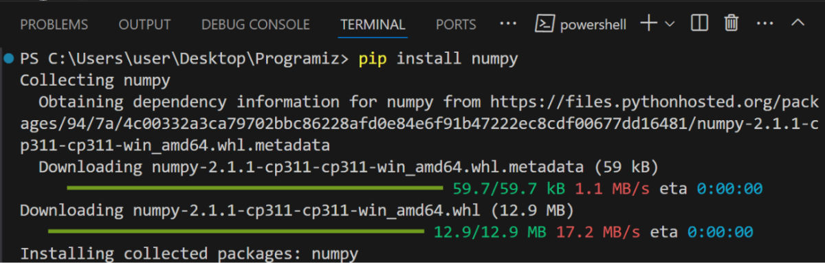 NumPy Installation Process