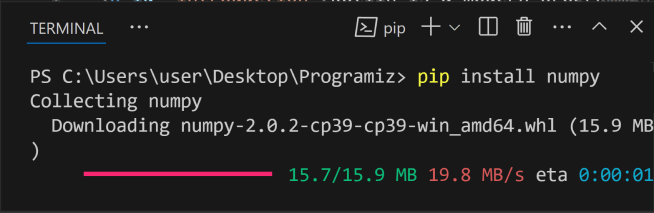 NumPy Installation Process