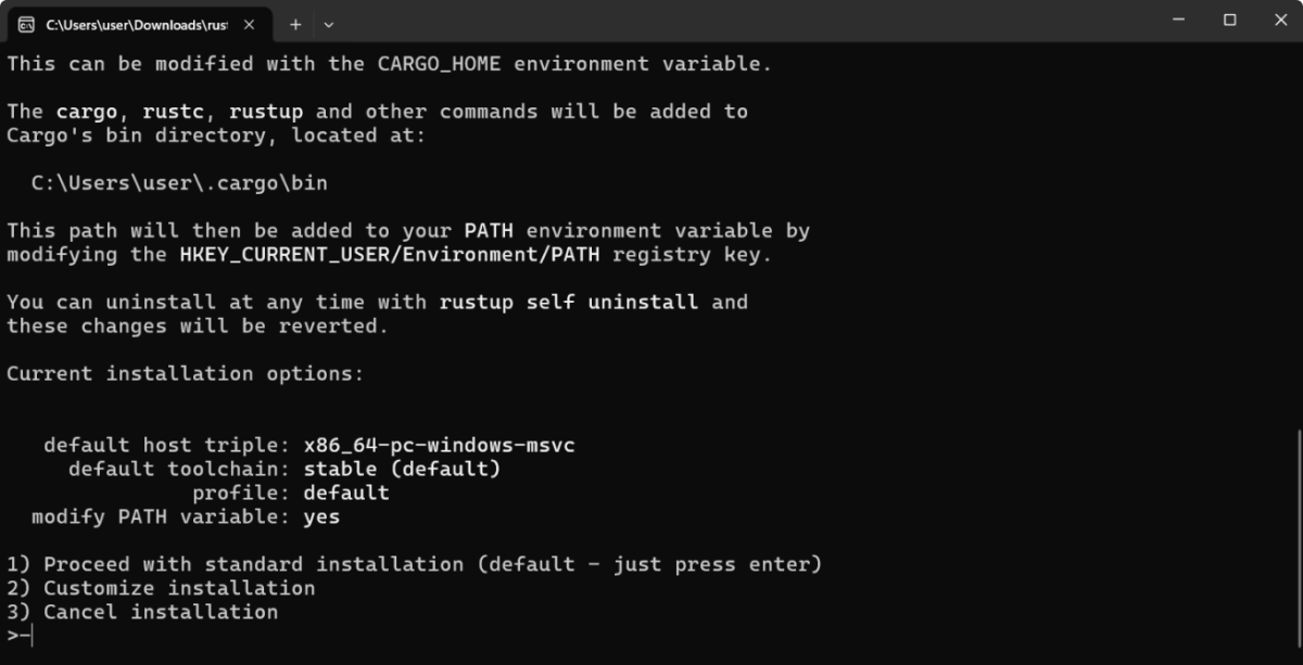 Rust Installation Options on Windows